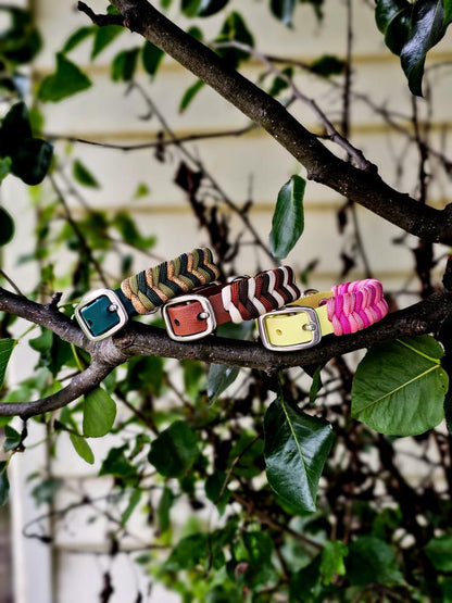 Wildwoods Paracord Collar - small breeds only