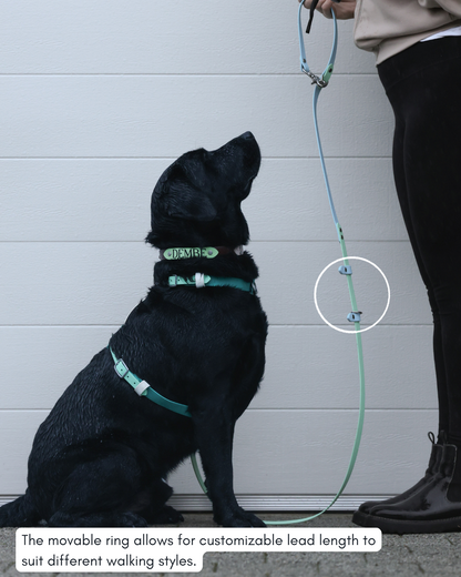 Hands Free Dog Lead - Design Your Own ⭐ Best Seller