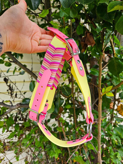 Custom BioThane Dog Harness &