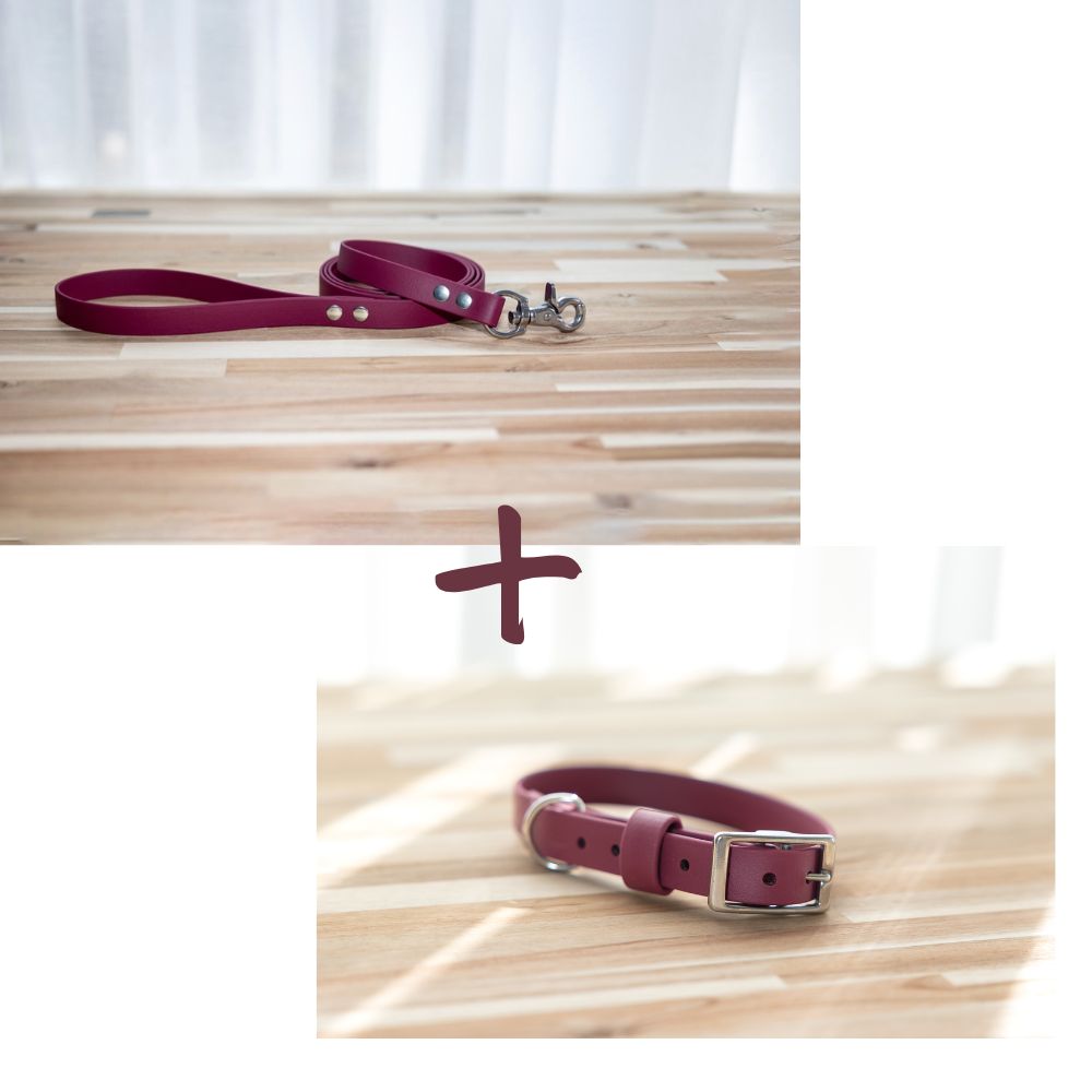NEW in - Collar and Lead Bundle