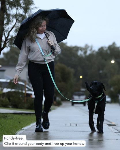 Hands Free Dog Lead - Design Your Own ⭐ Best Seller