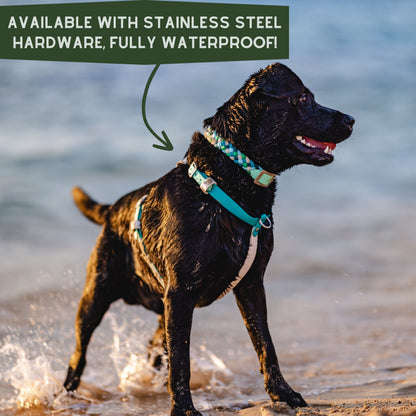 Custom BioThane Dog Harness &