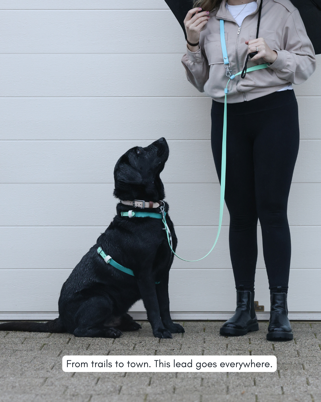 Hands Free Dog Lead - Design Your Own ⭐ Best Seller