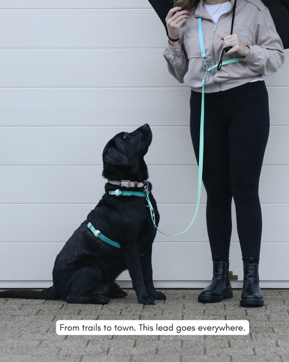 Hands Free Dog Lead - Design Your Own ⭐ Best Seller