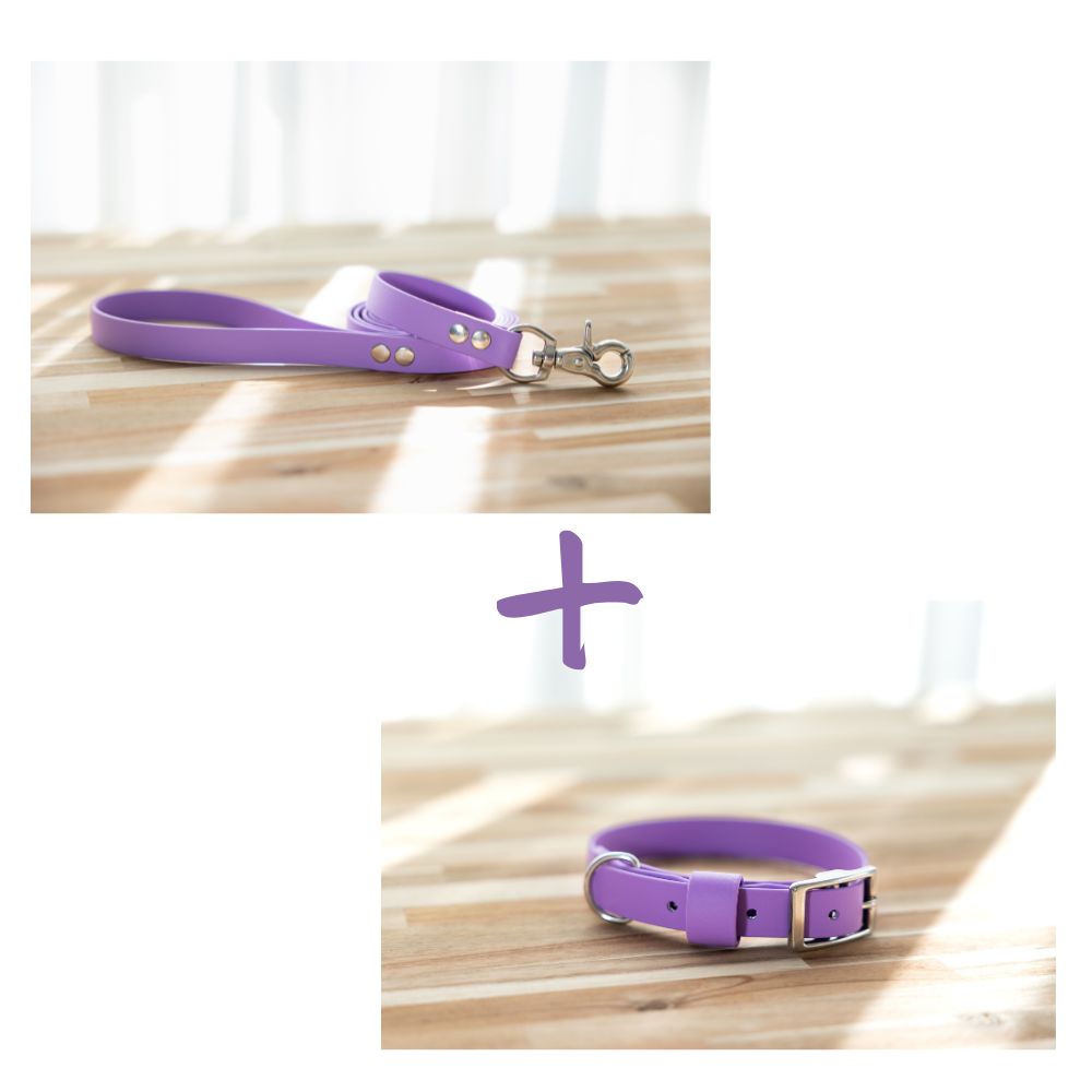 NEW in - Collar and Lead Bundle