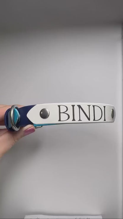 Blue Biothane dog collar with white name badge