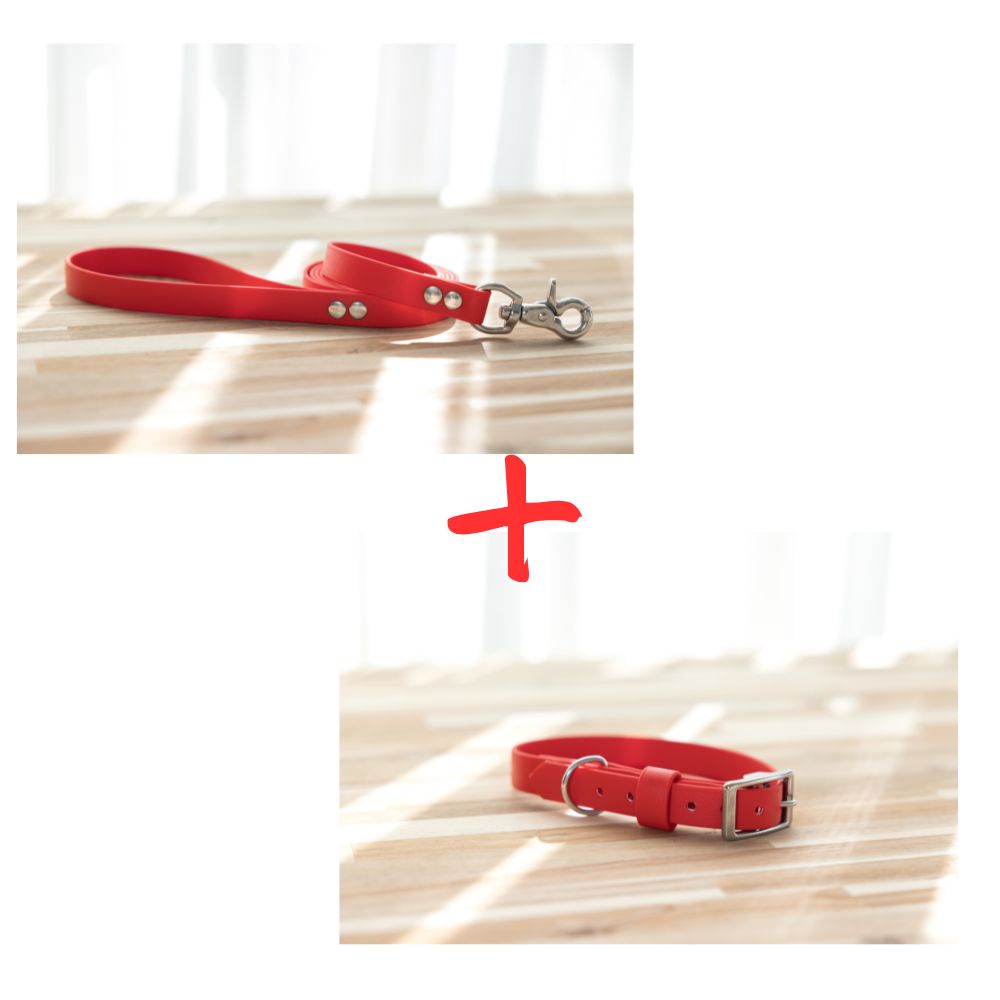 NEW in - Collar and Lead Bundle