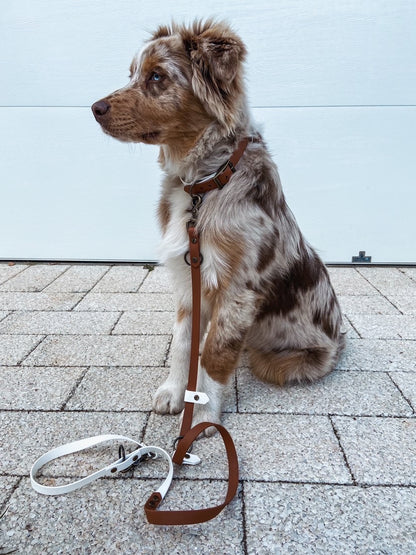 Hands Free Dog Lead - Design Your Own ⭐ Best Seller