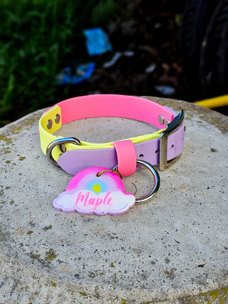 Waterproof Dog Collar Multi Tone – Design your own