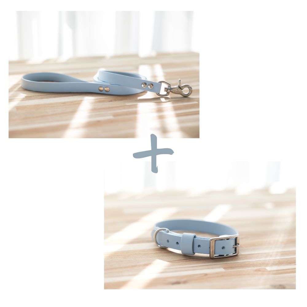 NEW in - Collar and Lead Bundle
