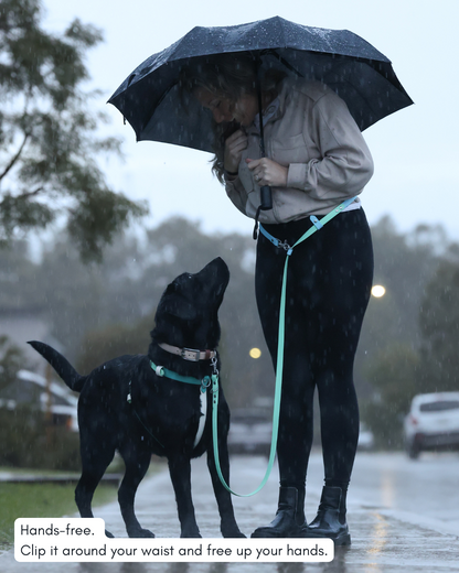 Person walking a dog on a leash with an umbrella in the rain