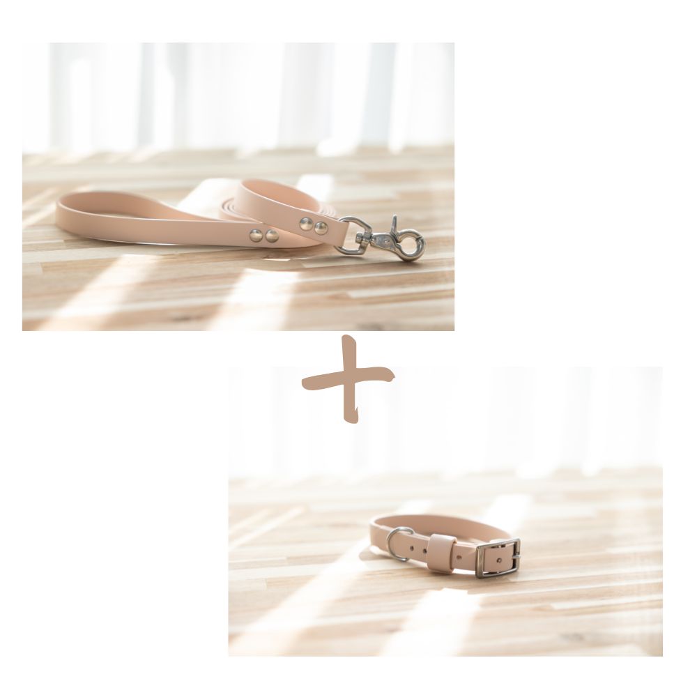NEW in - Collar and Lead Bundle