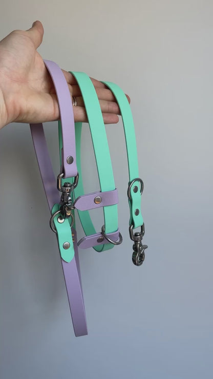 Hands Free Dog Lead - Design Your Own ⭐ Best Seller