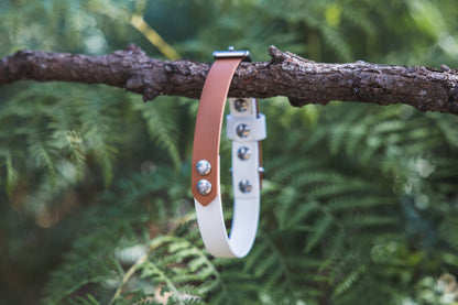 Waterproof Dog Collar Multi Tone – Design your own