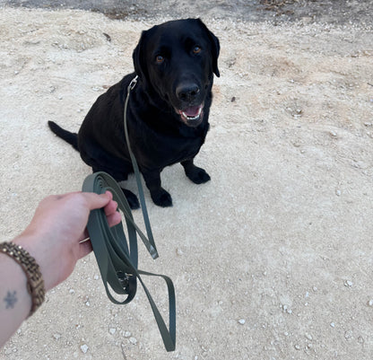 Long Line - BioThane® Lead