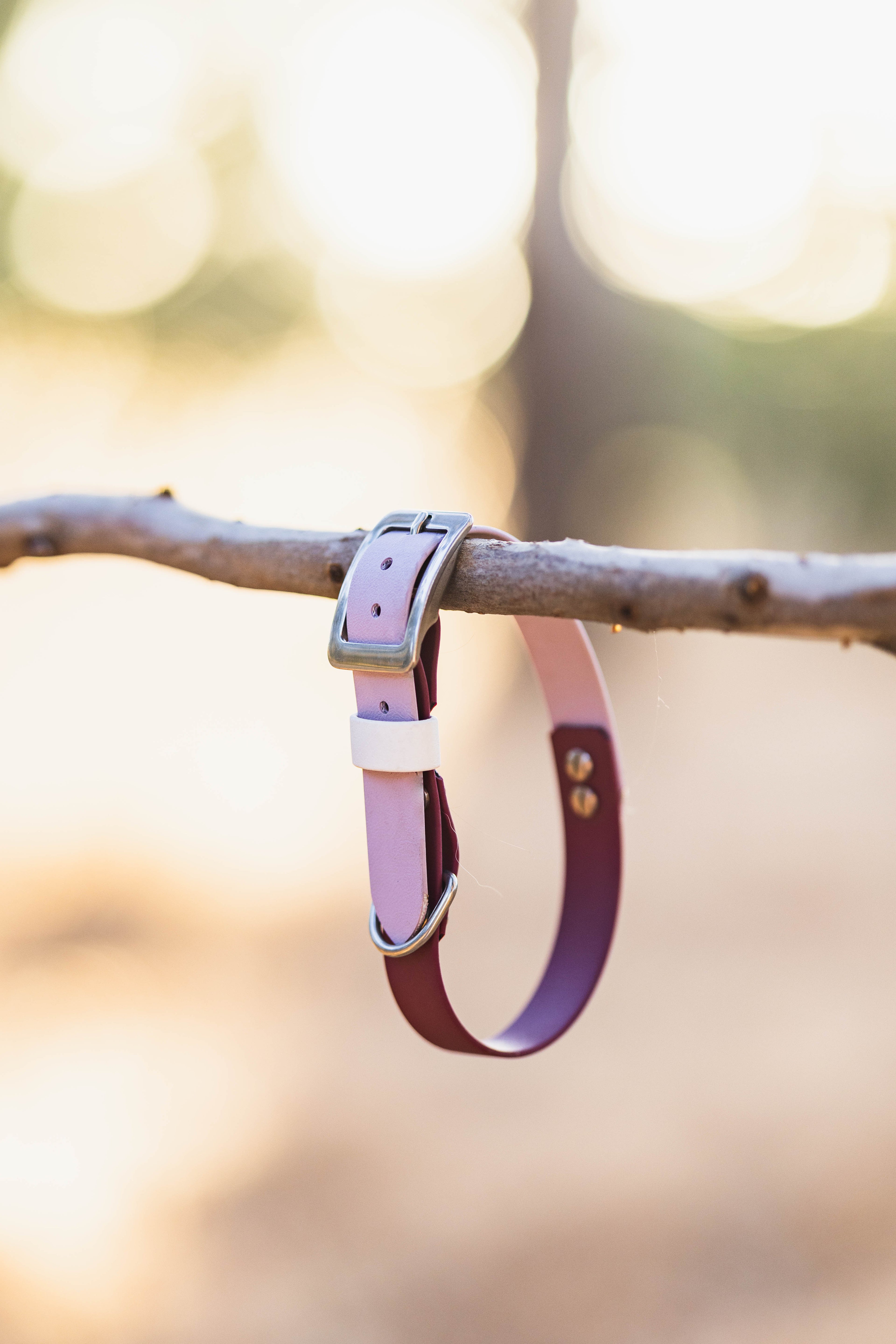 Waterproof Dog Collar Multi Tone – Design your own