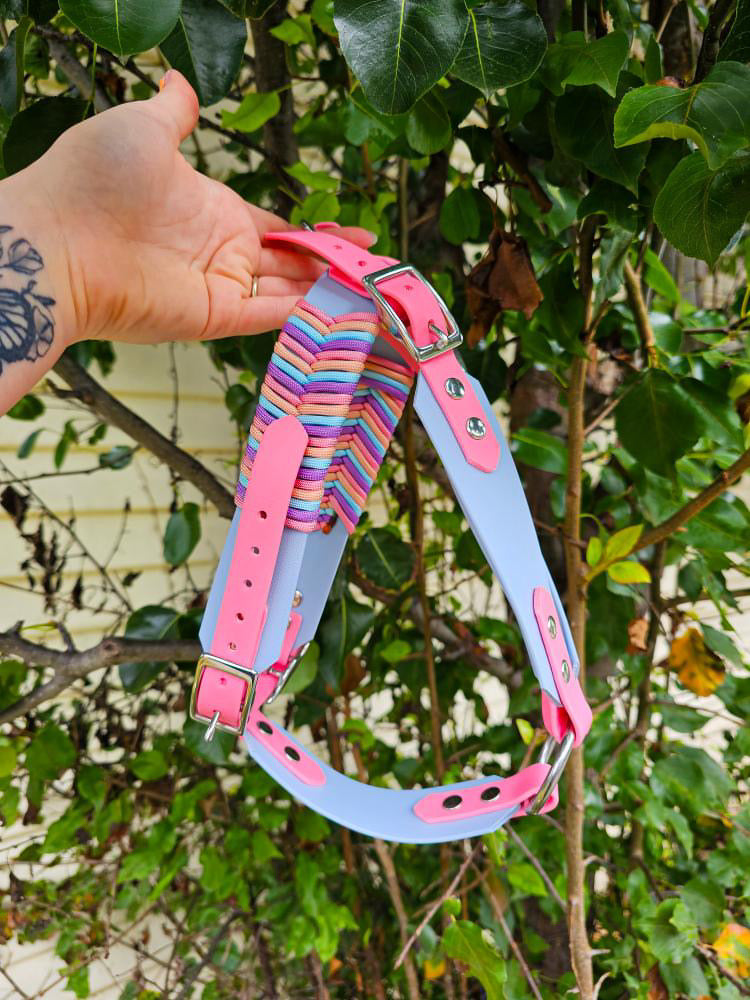 Custom BioThane Dog Harness &