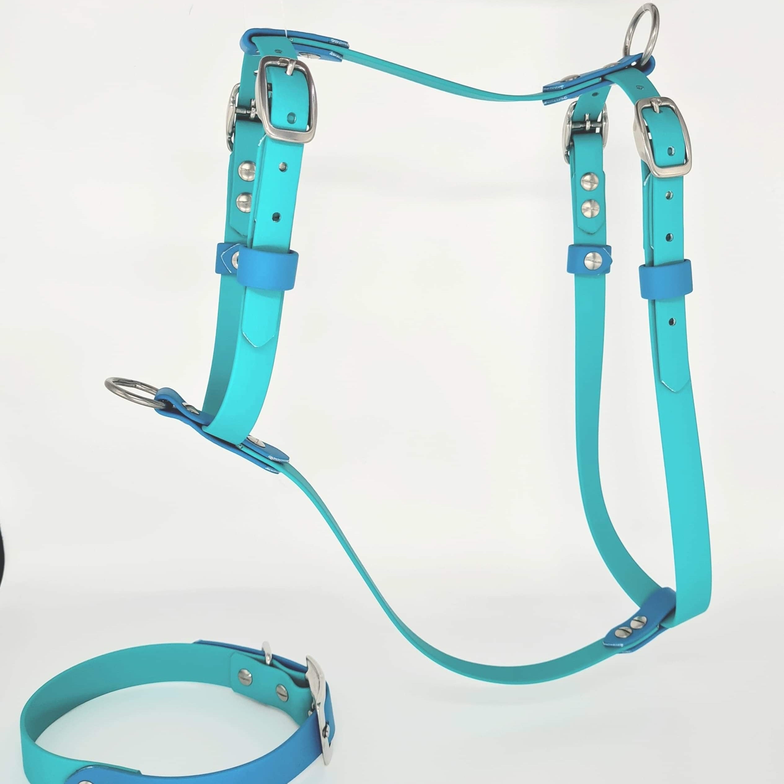 Custom BioThane Dog Harness &