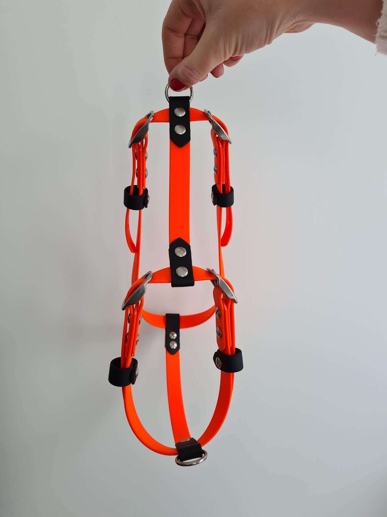 Custom BioThane Dog Harness &