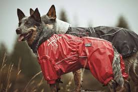 Hurtta Outdoor Overall