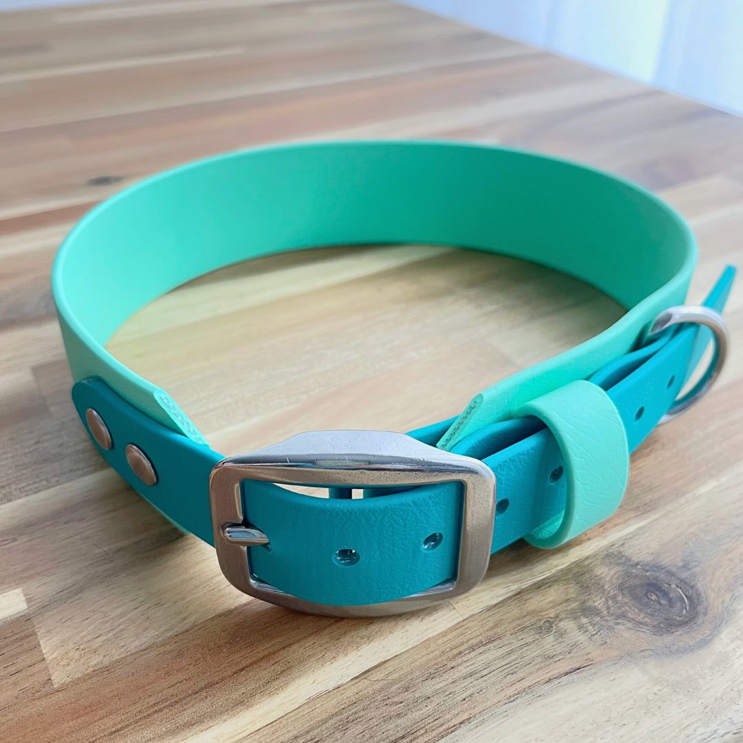 Horizon Biothane Collar - Large Breeds only