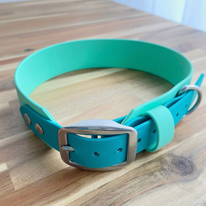 Horizon Biothane Collar - Large Breeds only