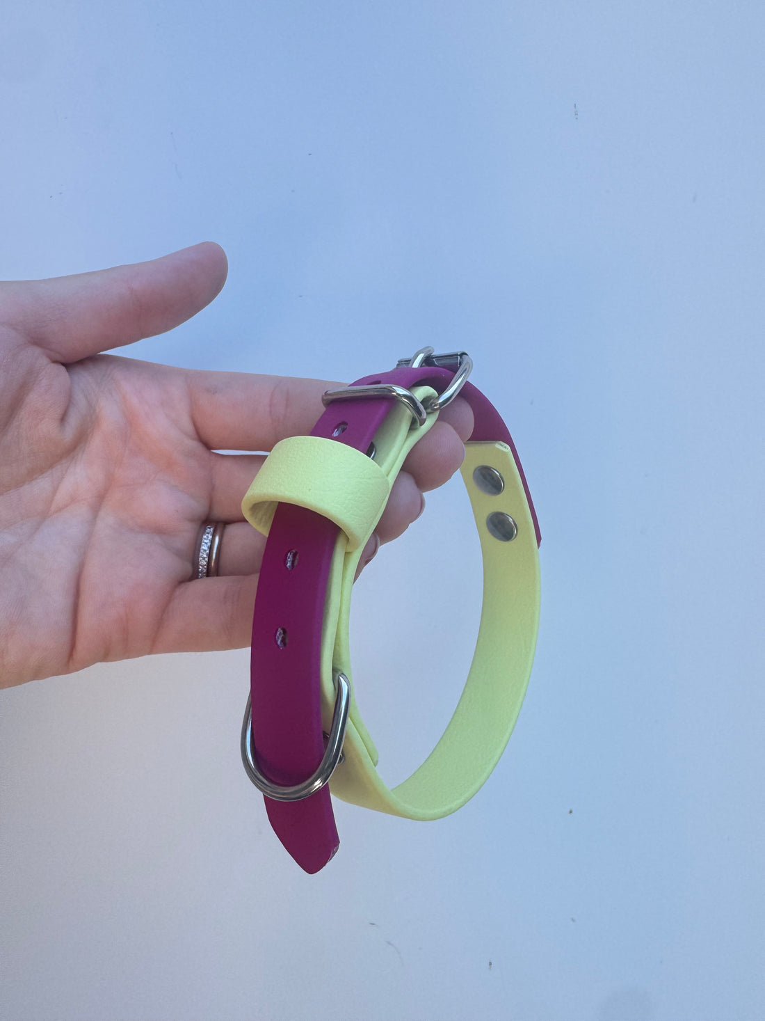 S (29-35m neck) Pastel Yellow/Magenta Collar (roller buckle)