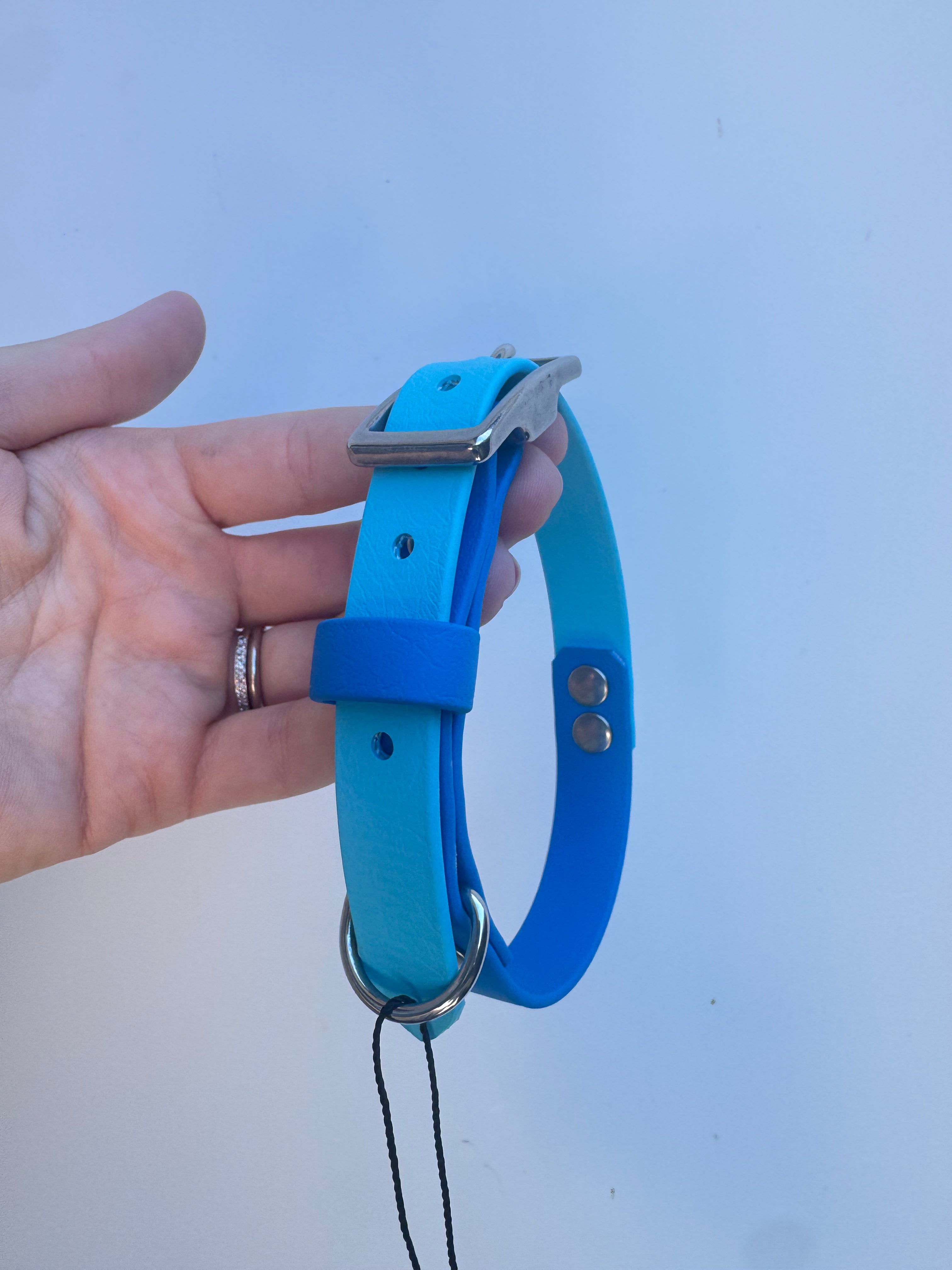S (30-36cm neck) Blue/Light Blue Collar