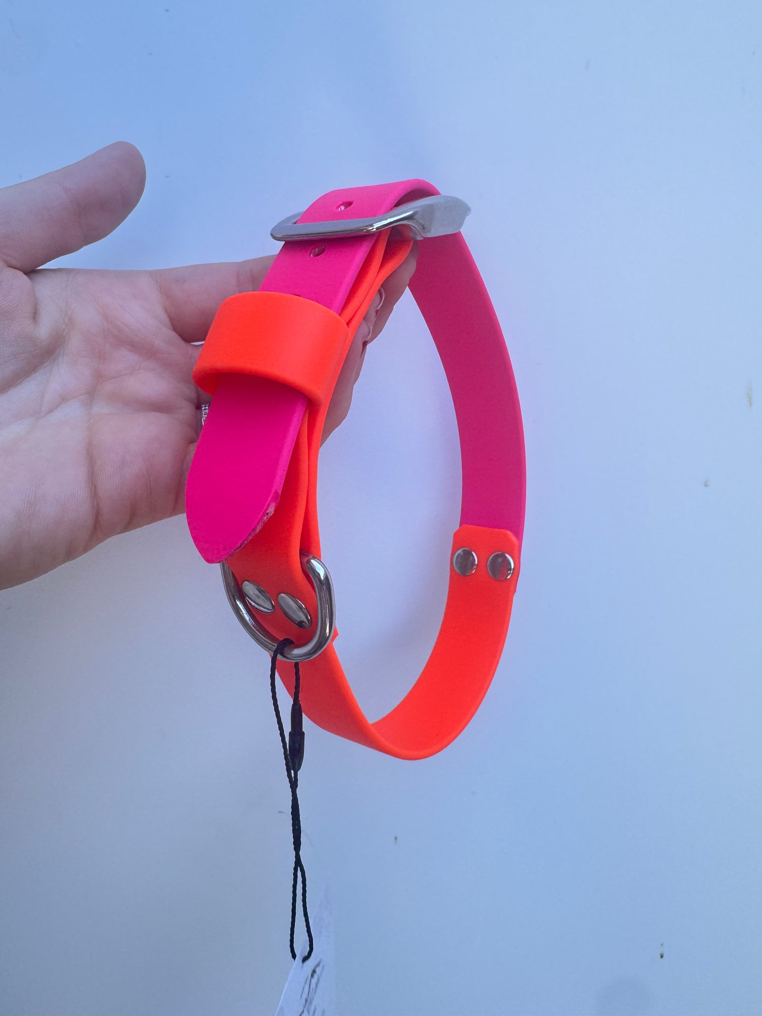L (40-47cm neck) Neon orange/passion pink collar