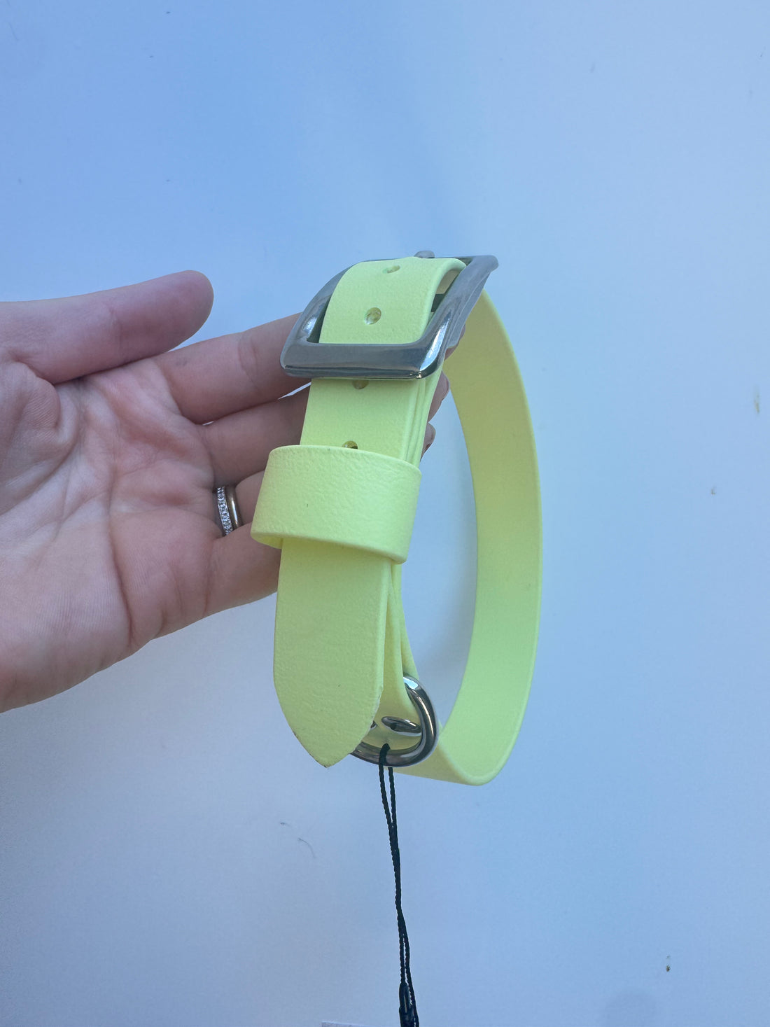 L (40-47m neck) Pastel Yellow collar (2.5cm wide)