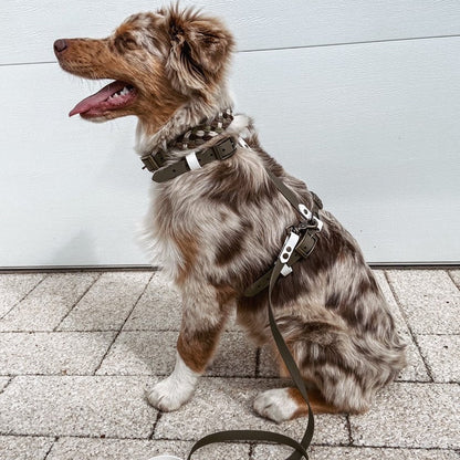 Custom BioThane Dog Harness &