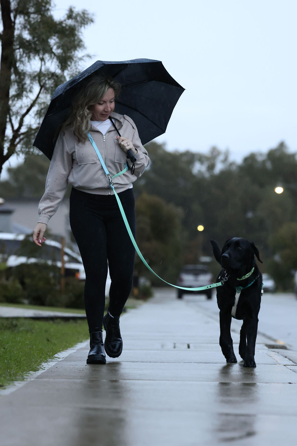 Woman walking a dog on a leash with an umbrella in a rainy setting