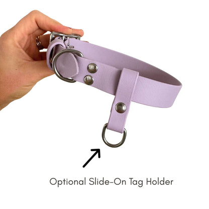 Hand holding a lavender dog collar with an optional slide-on tag holder on a white background