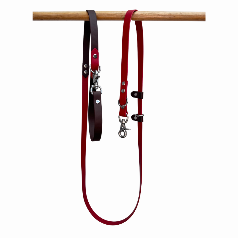Dark brown and red dog lead on a wooden rack with white background
