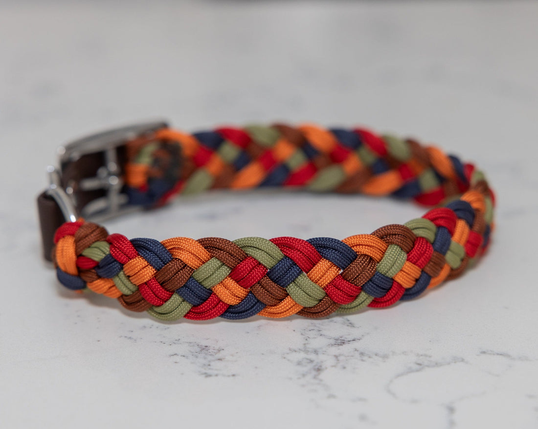 A braided paracord collar with a metal buckle, featuring a multicolor pattern.
