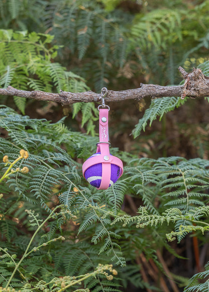 Biothane Dog Ball Holder