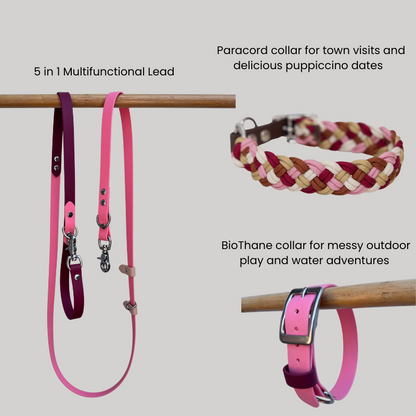 Dog accessories including a pink leash and collars on a gray background