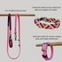 Dog accessories including a pink leash and collars on a gray background