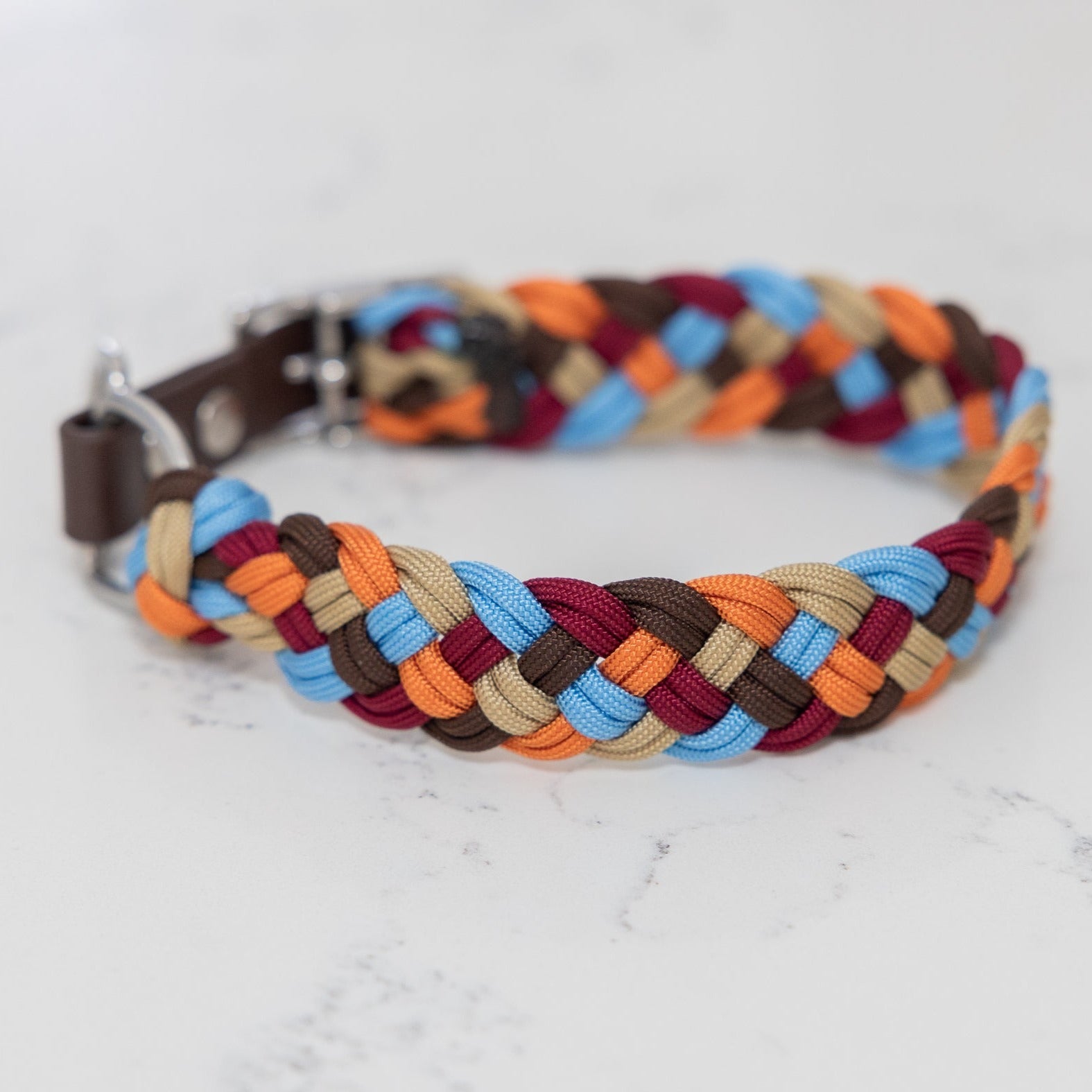 A multicolored paracord collar with a Biothane adapter and buckle, laid out on a flat surface.