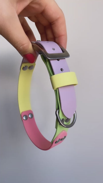 Waterproof Dog Collar Multi Tone – Design your own