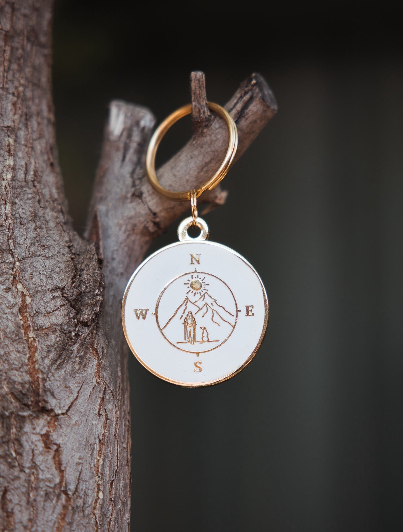 Round-brass-dog-id-tag-with-paw-symbol